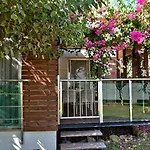 Garden & Alanya