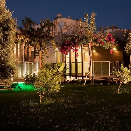 Garden &