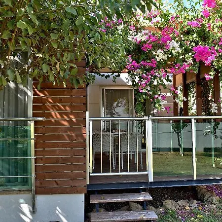 Garden & Alanya