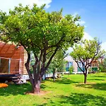 Garden & 5* Алания