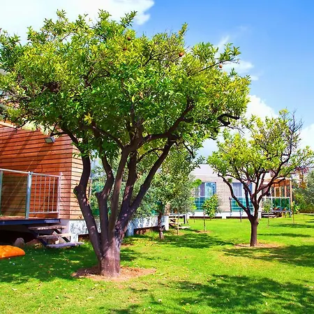 Garden & 5* Alanya