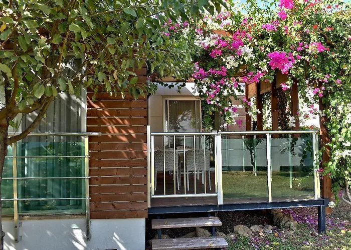 Garden & Alanya